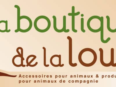 Accessoires chiens chats, vente par manque de temps