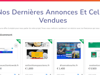 À VENDRE — Site Web Clé en Main dans le Marketing Digital : WebMarketDigital.net